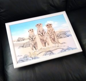 img_20170129_181552466